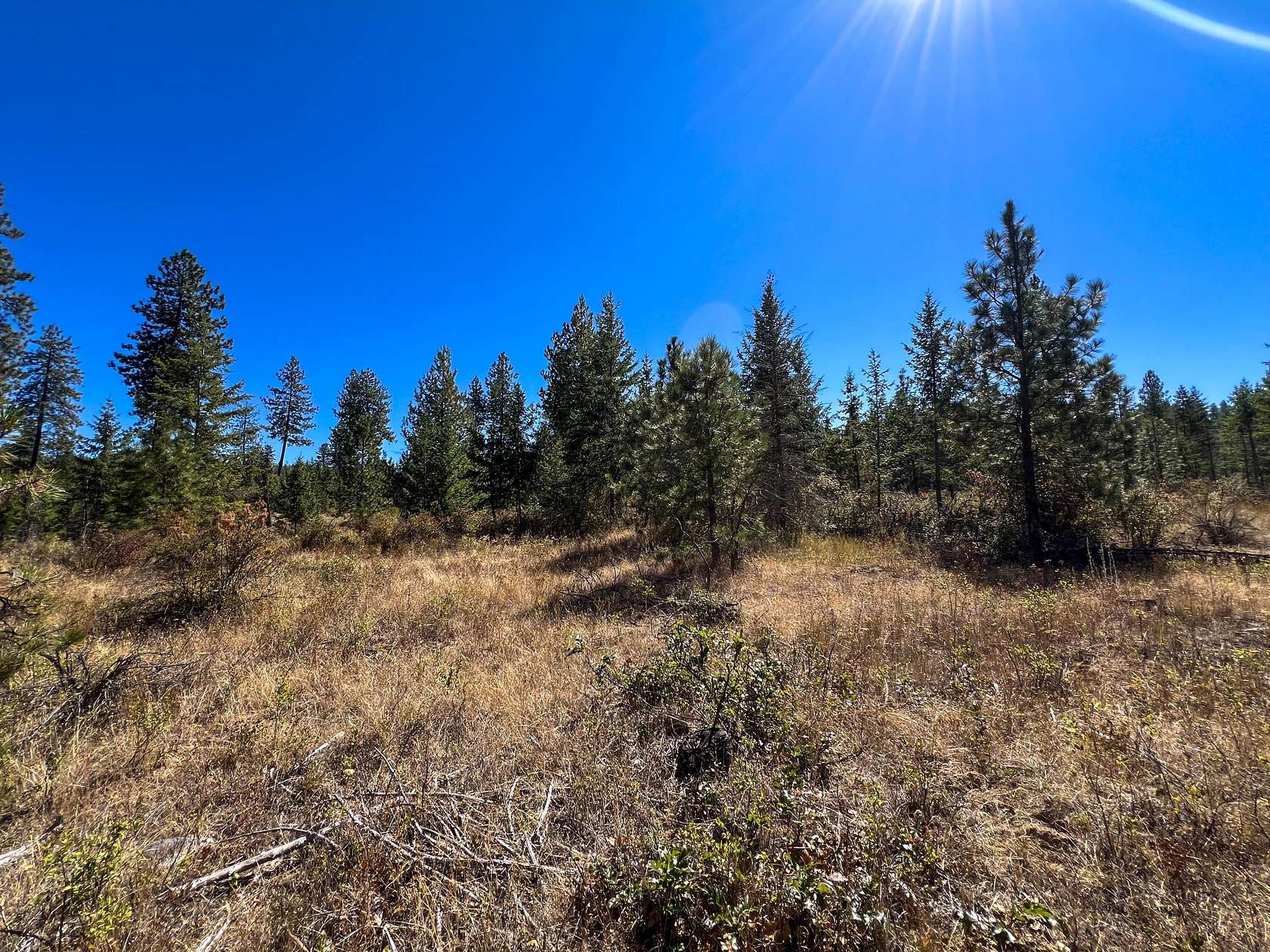 19.89 Acres of Land for Sale in Deer Park, Washington