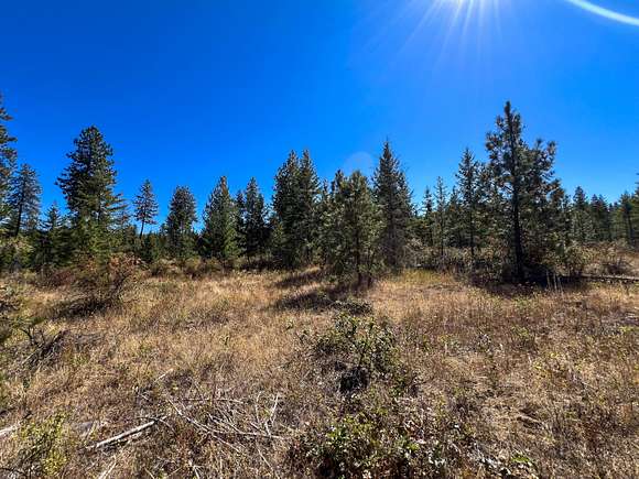 19.89 Acres of Land for Sale in Deer Park, Washington