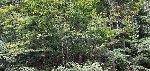 9.6 Acres of Residential Land for Sale in Scottsville, Kentucky