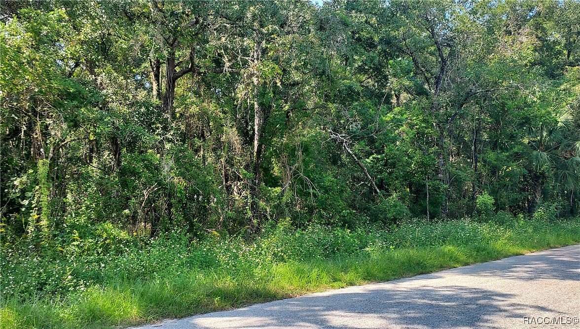 0.47 Acres of Residential Land for Sale in Inverness, Florida