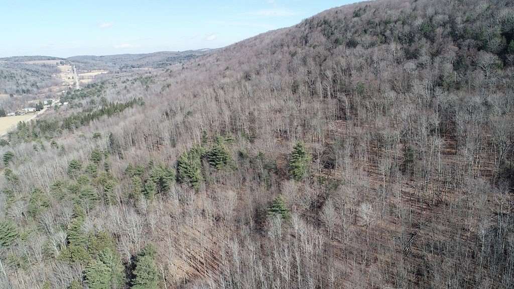 72.27 Acres of Recreational Land for Sale in Beaver Dams, New York