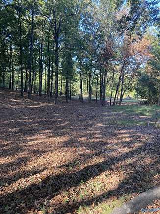 0.6 Acres of Land for Sale in Gadsden, Alabama