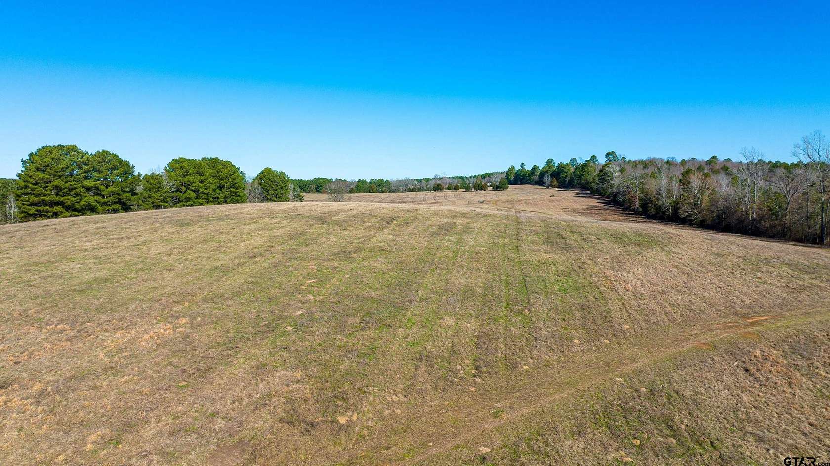 211 Acres of Recreational Land & Farm for Sale in Linden, Texas