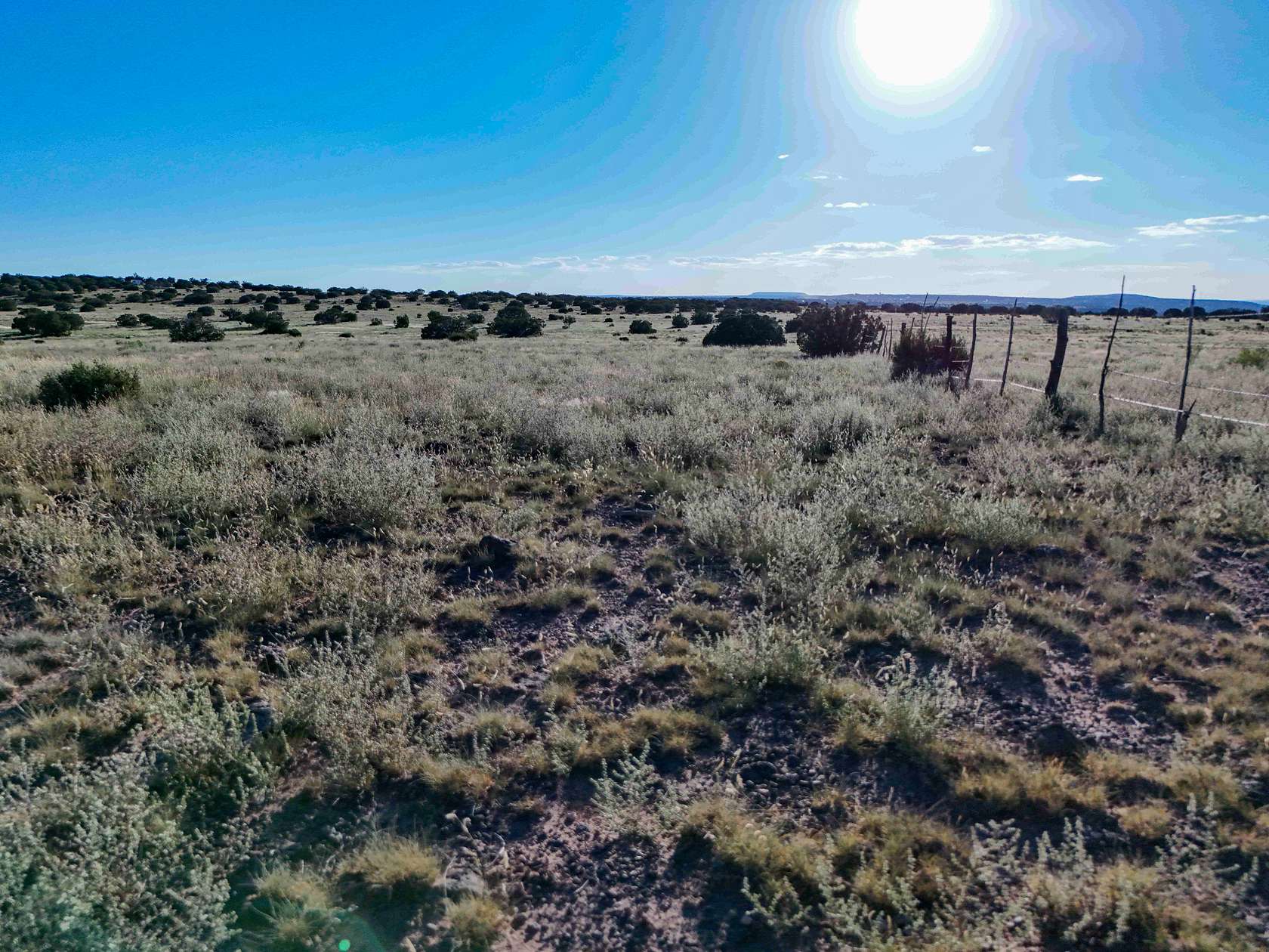 12.05 Acres of Recreational Land for Sale in Concho, Arizona