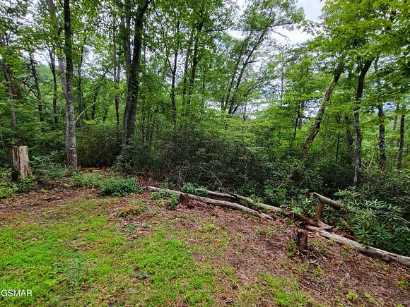 1.17 Acres of Residential Land for Sale in Sevierville, Tennessee