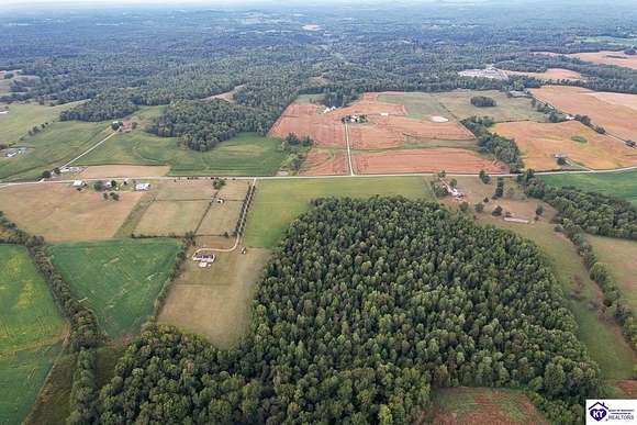 12.64 Acres of Land for Sale in Magnolia, Kentucky