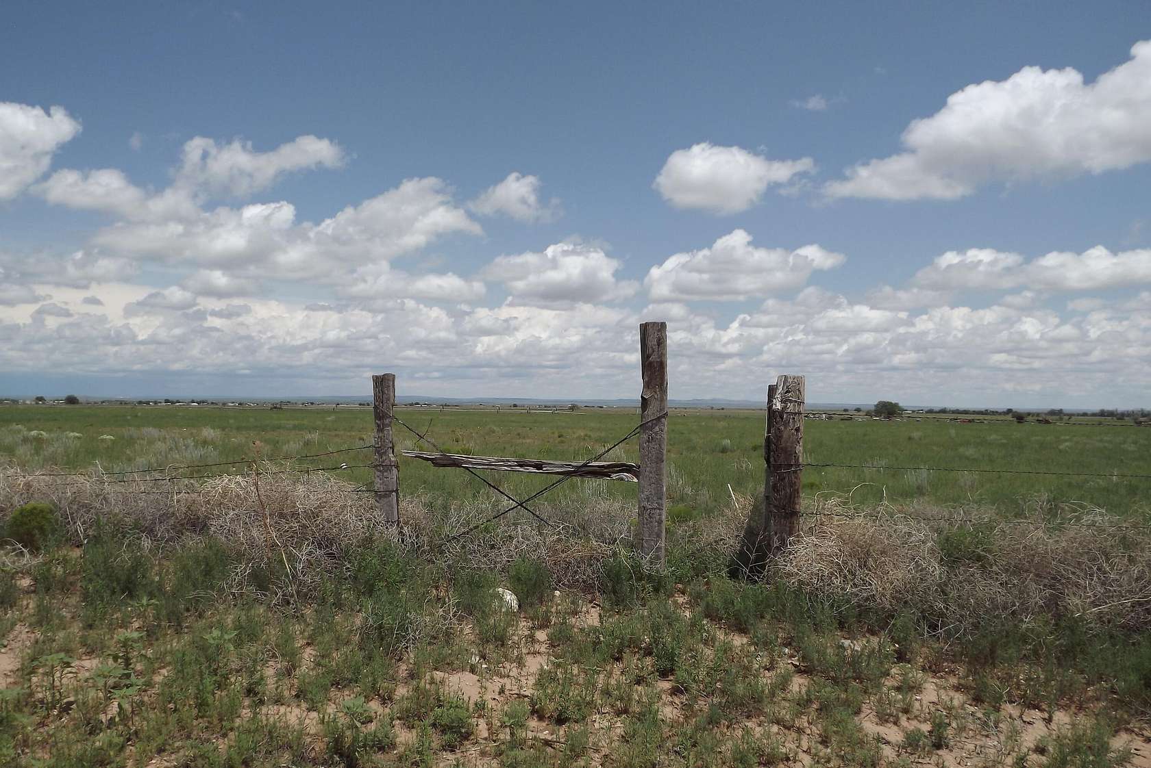 320 Acres of Agricultural Land for Sale in McIntosh, New Mexico