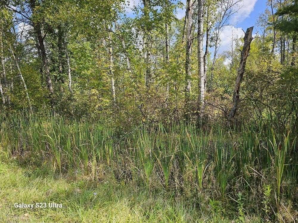 5.22 Acres of Land for Sale in Gladwin, Michigan