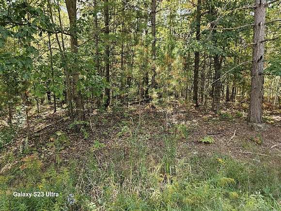 7.05 Acres of Residential Land for Sale in Gladwin, Michigan