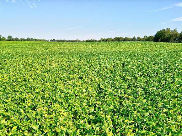 80 Acres of Agricultural Land for Sale in New Hartford, Missouri