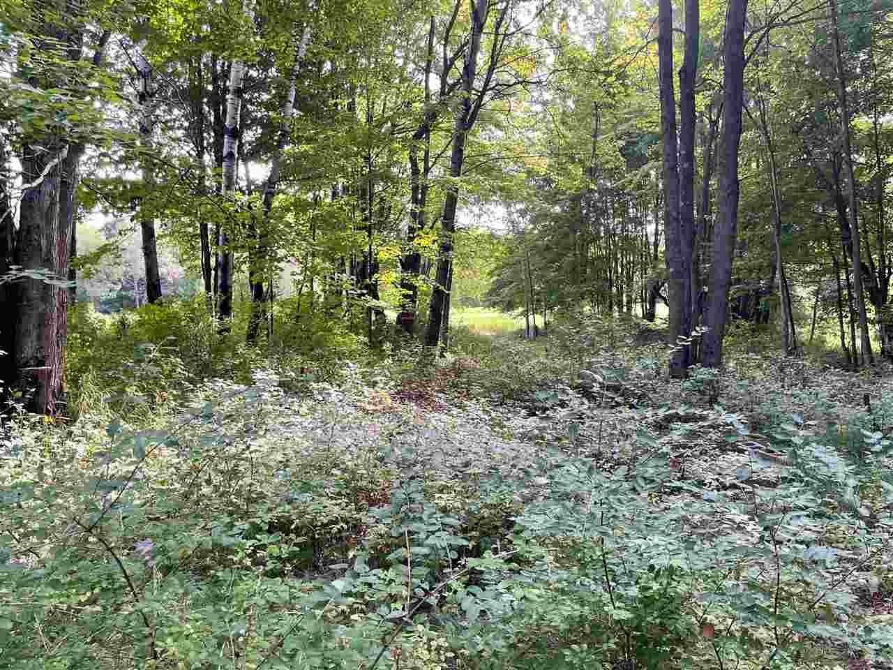 0.63 Acres of Residential Land for Sale in Harbor Springs, Michigan