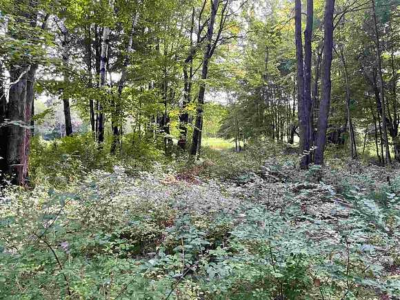 0.63 Acres of Residential Land for Sale in Harbor Springs, Michigan