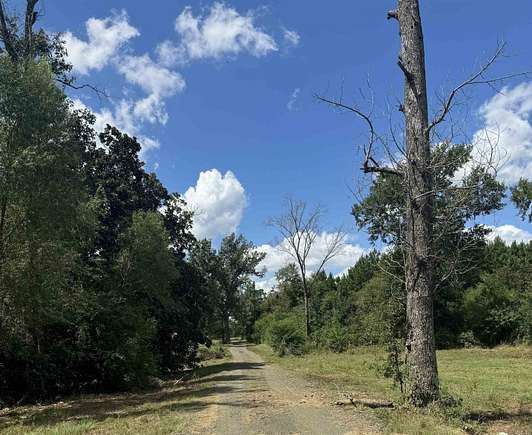 123.7 Acres of Agricultural Land for Sale in Center, Texas