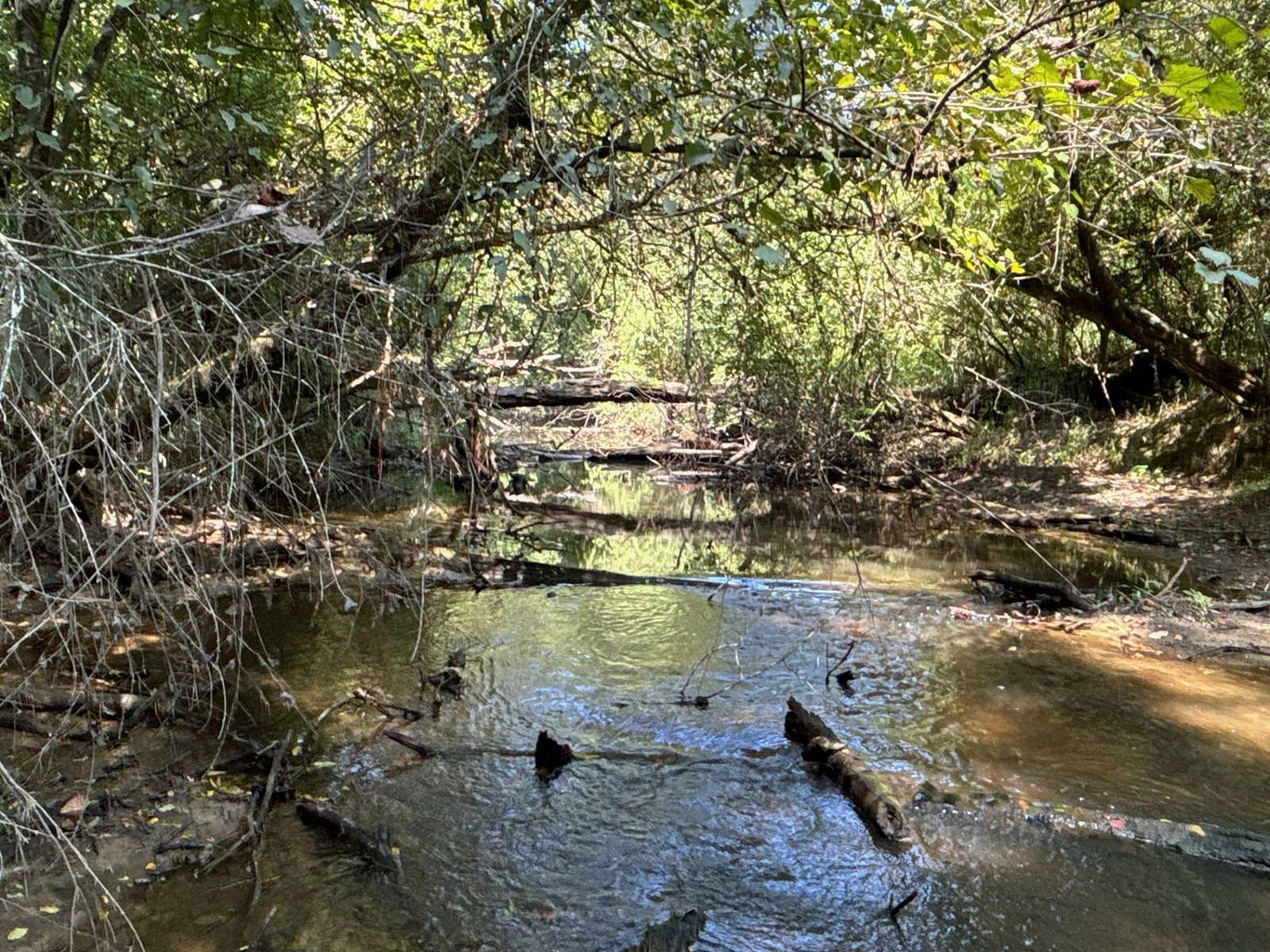 44 Acres of Land for Auction in Oakdale, Louisiana