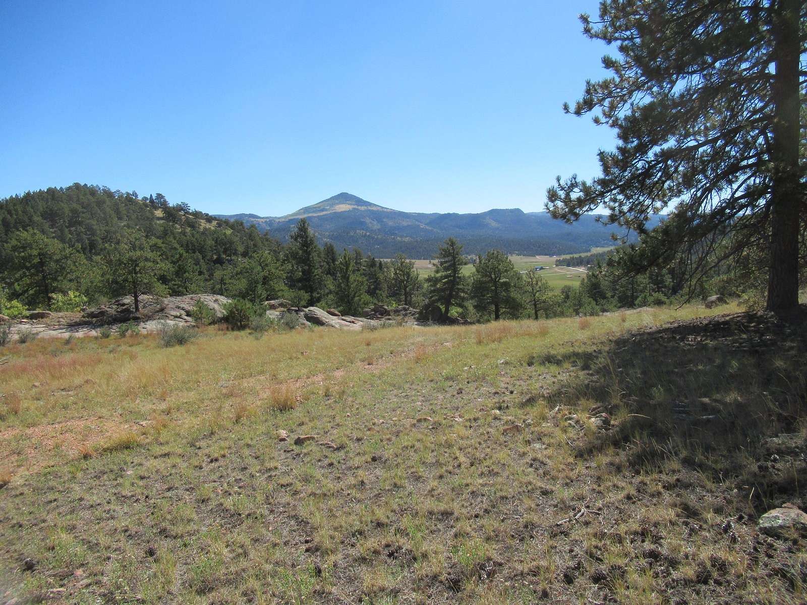 115.57 Acres of Land for Sale in Florissant, Colorado