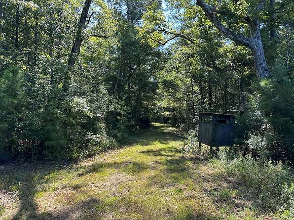 160 Acres of Recreational Land & Farm for Auction in Mamou, Louisiana