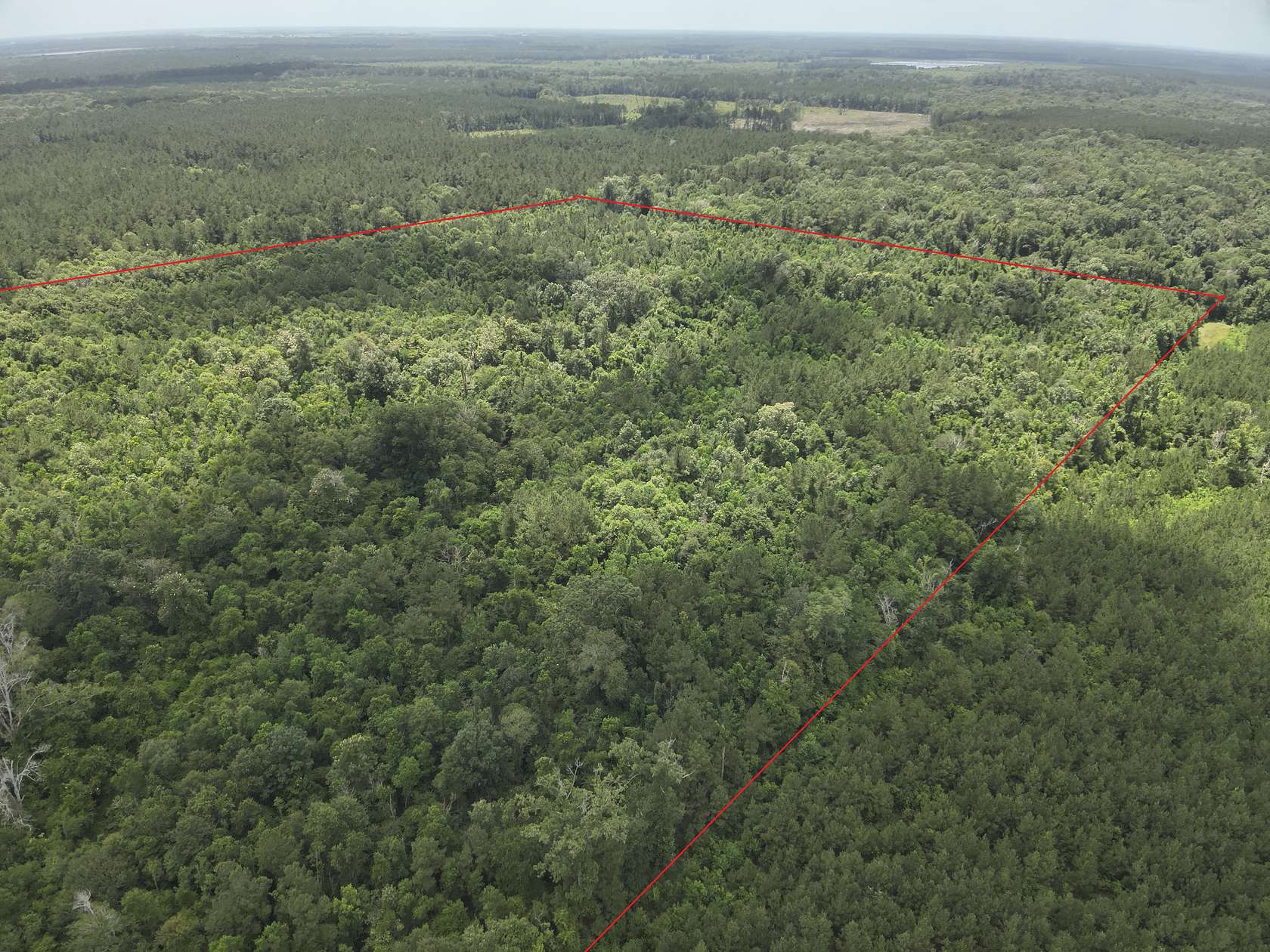 60 Acres of Recreational Land & Farm for Sale in Mamou, Louisiana