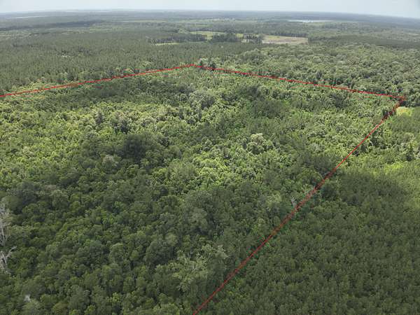 60 Acres of Recreational Land & Farm for Sale in Mamou, Louisiana