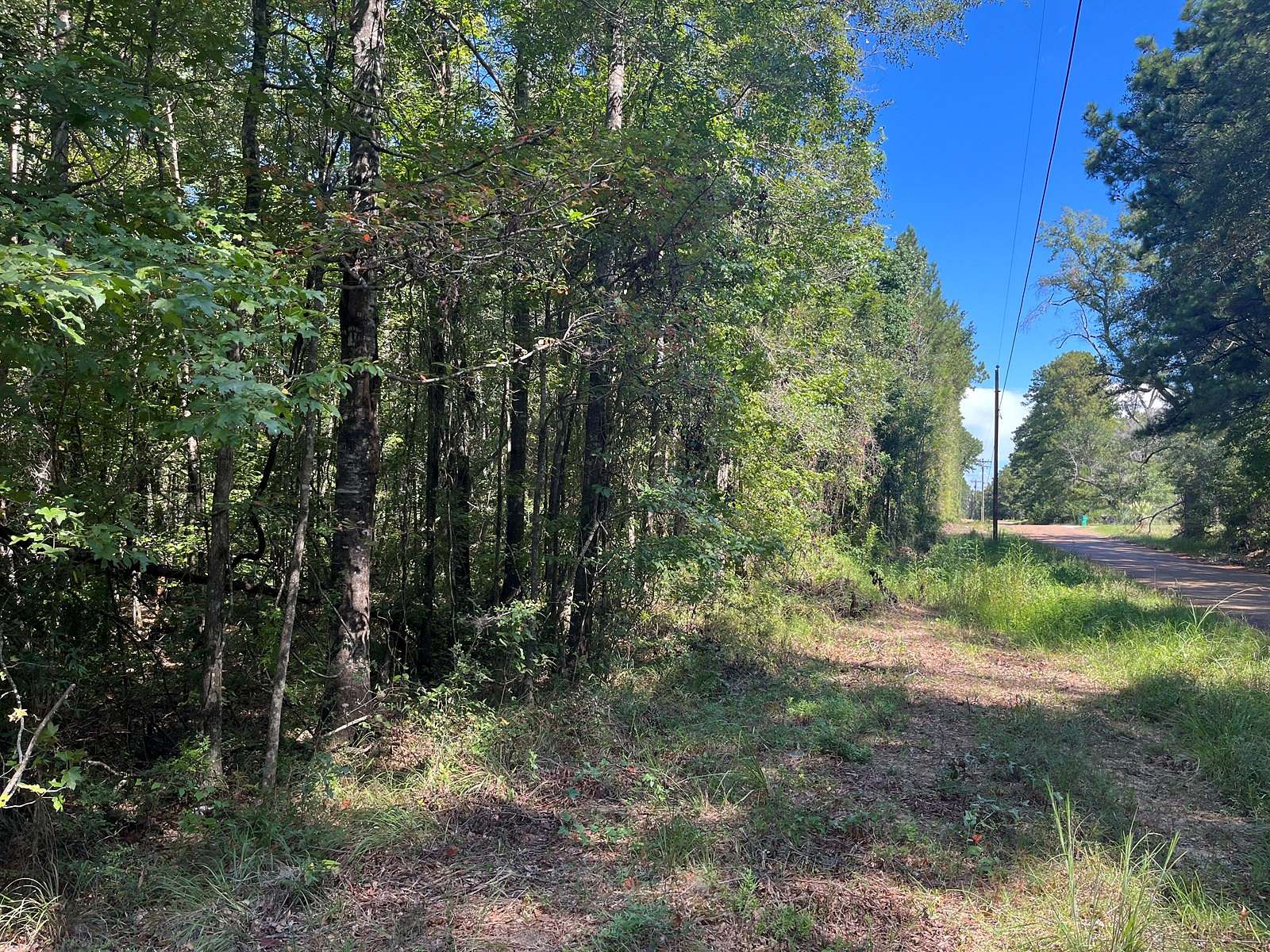 40 Acres of Land for Auction in Oakdale, Louisiana