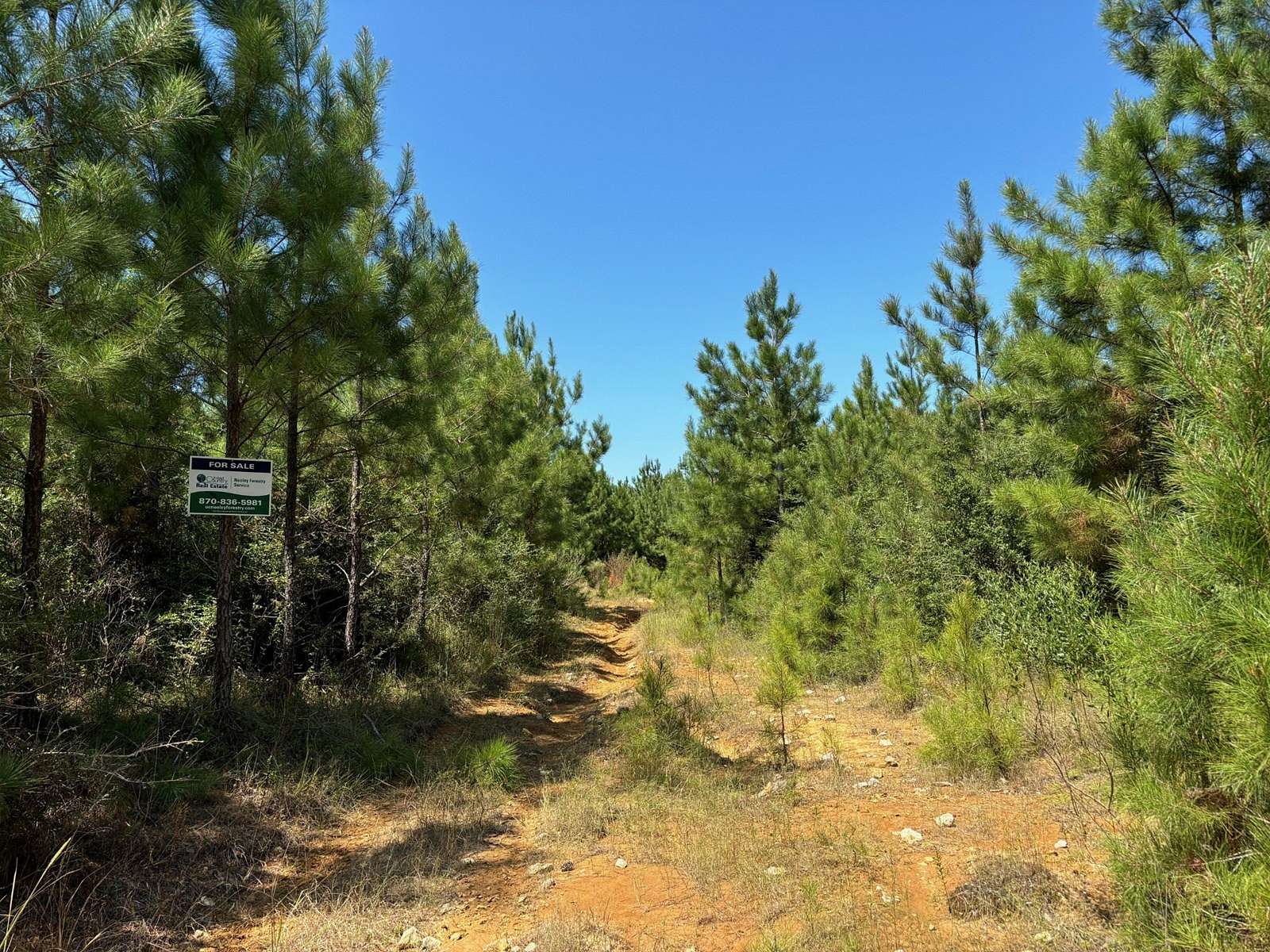 40 Acres of Recreational Land & Farm for Auction in Mamou, Louisiana