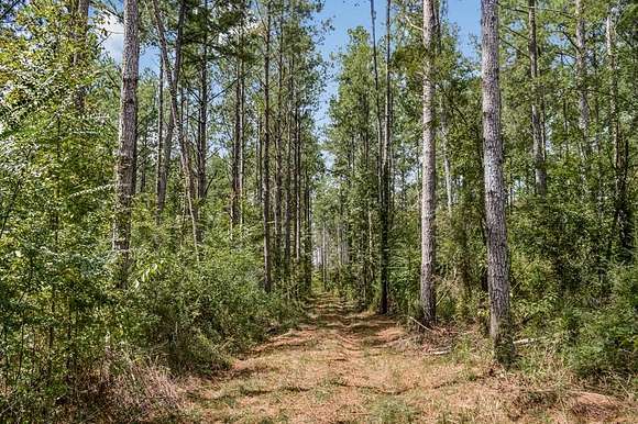 200 Acres of Land for Sale in Summit, Mississippi