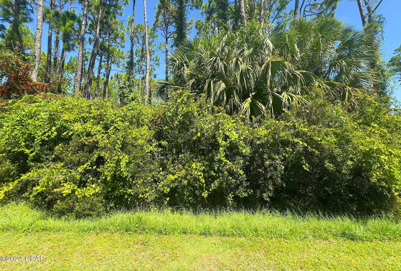 1.03 Acres of Residential Land for Sale in Port St. Joe, Florida