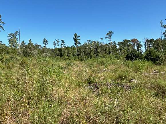 120 Acres of Land for Auction in Kinder, Louisiana