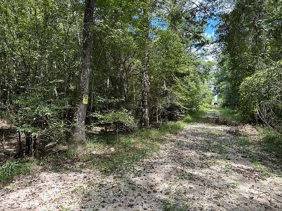 15 Acres of Recreational Land & Farm for Auction in Oakdale, Louisiana