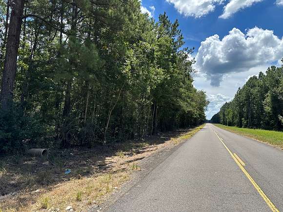 160 Acres of Recreational Land & Farm for Auction in Oakdale, Louisiana