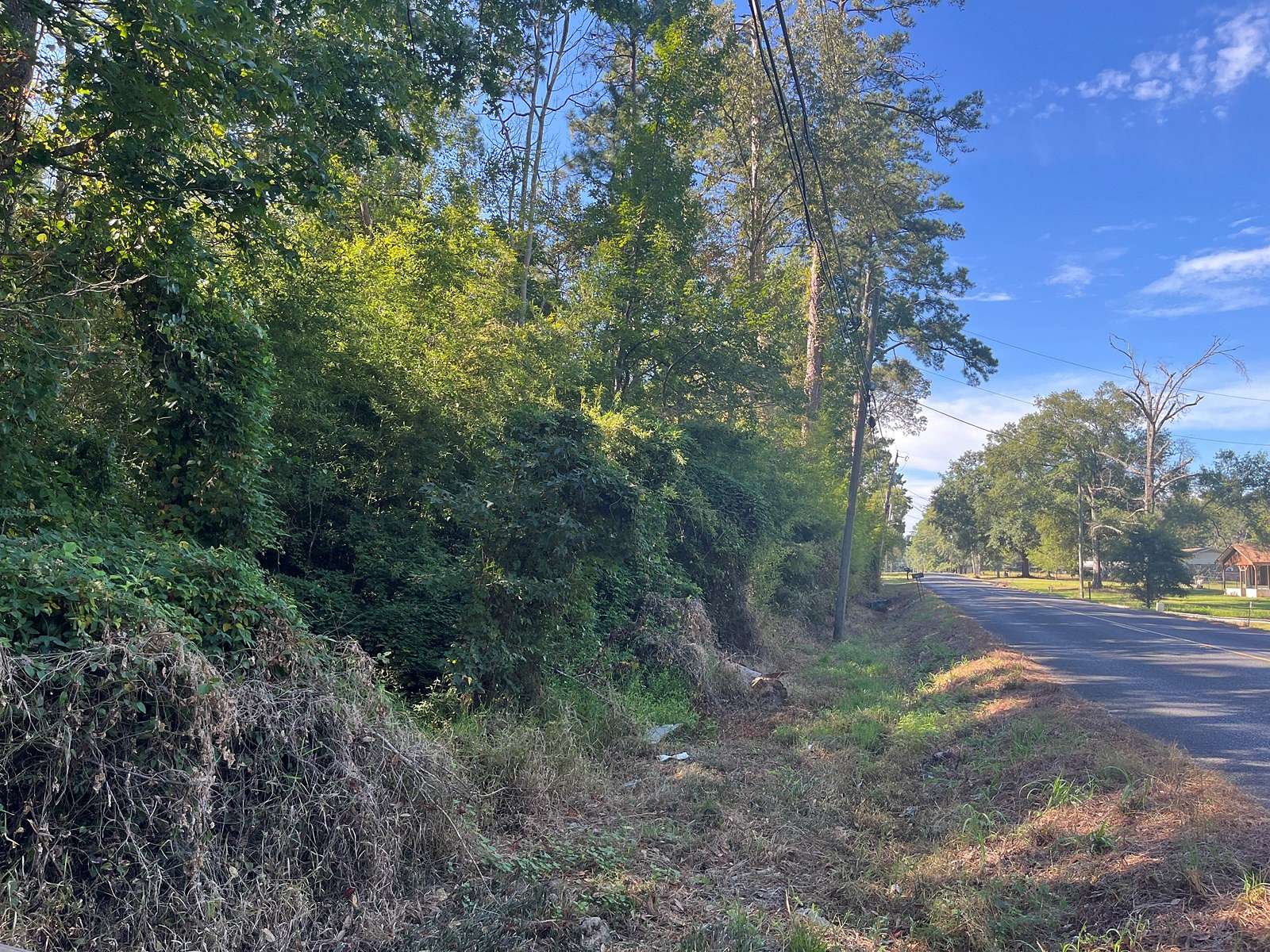 5 Acres of Land for Auction in Oakdale, Louisiana