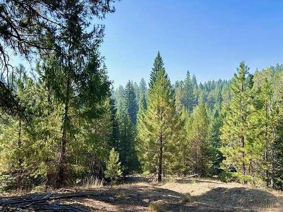 23.82 Acres of Recreational Land for Sale in Cascade, Idaho