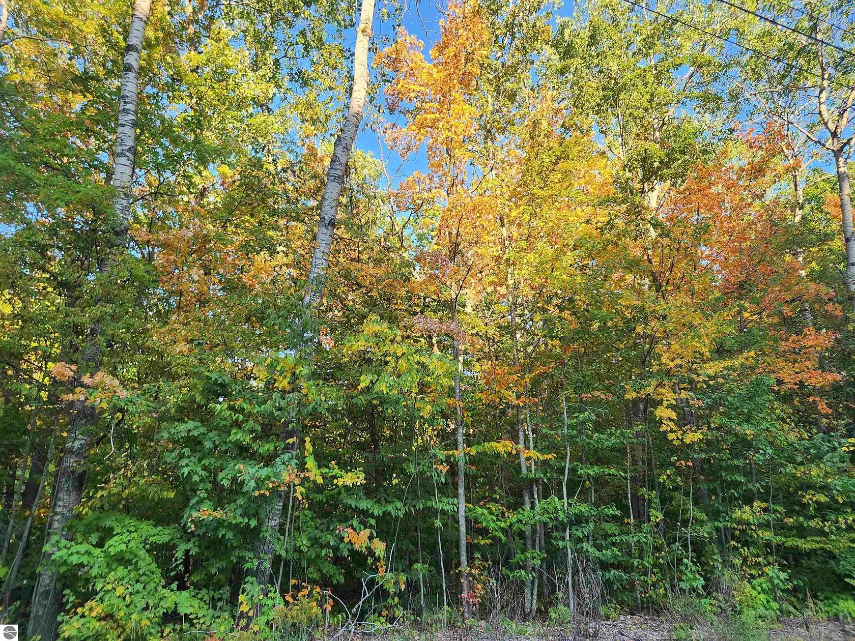 0.65 Acres of Land for Sale in Frederic, Michigan