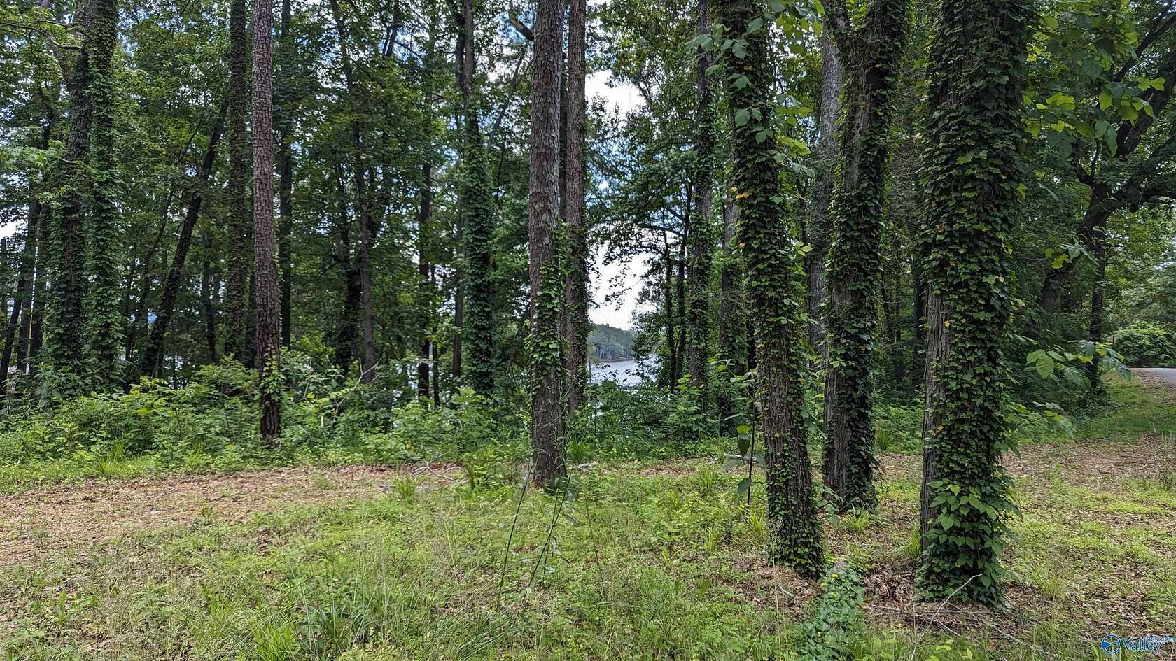 0.92 Acres of Land for Sale in Centre, Alabama