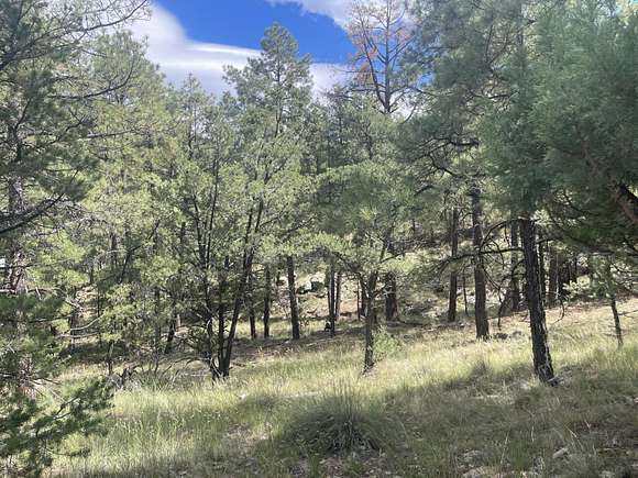 9.36 Acres of Residential Land for Sale in Magdalena, New Mexico