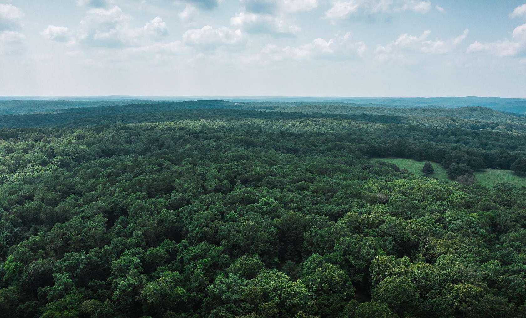 55 Acres of Recreational Land for Sale in Steelville, Missouri