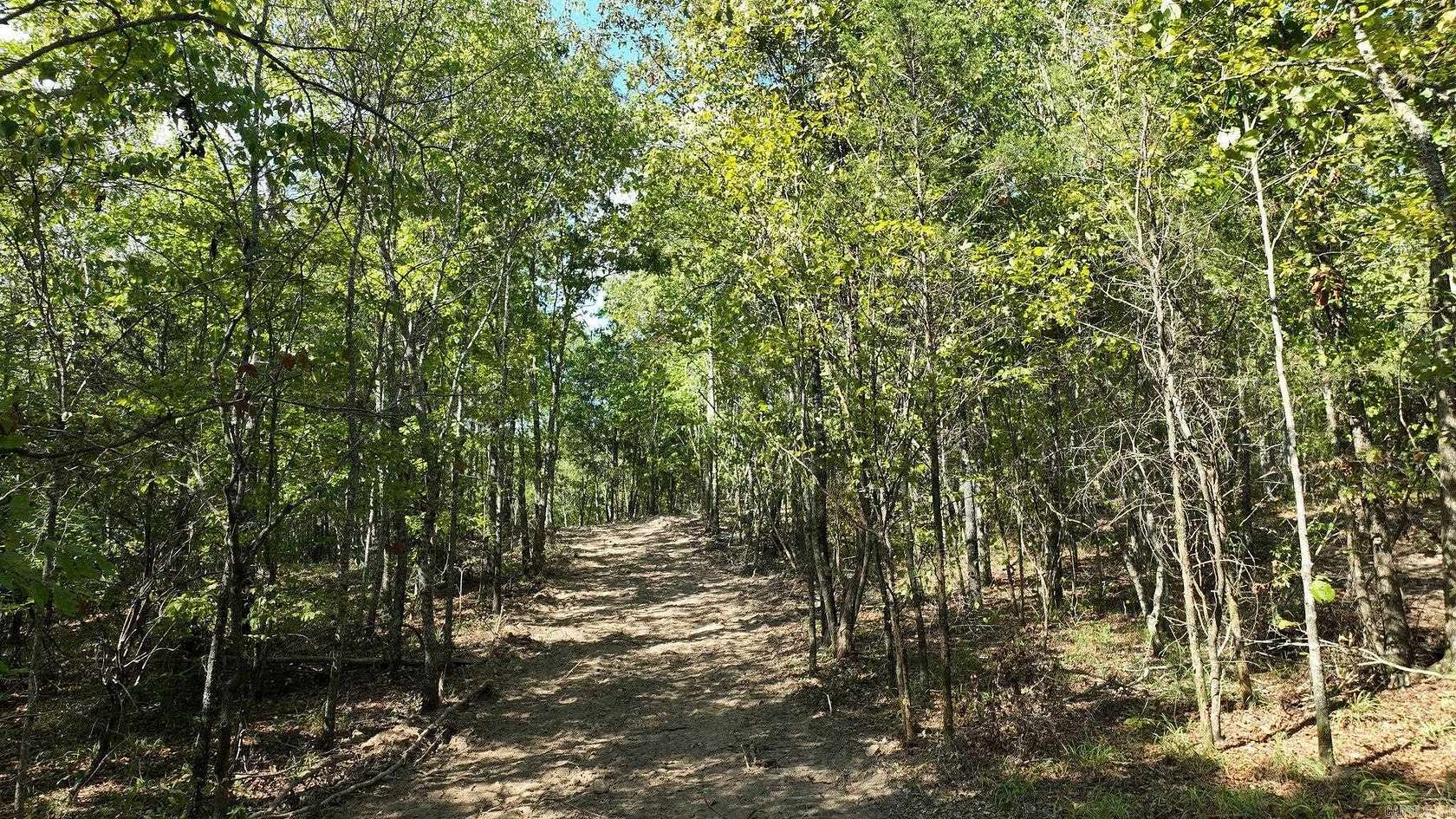 10.13 Acres of Land for Sale in Mena, Arkansas