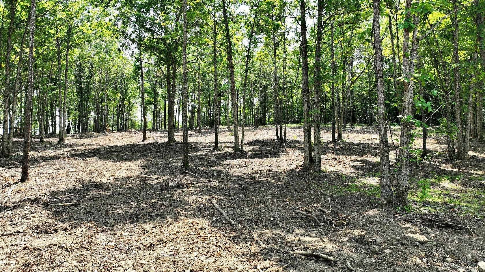 10.1 Acres of Land for Sale in Mena, Arkansas