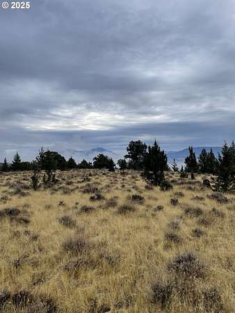 80 Acres of Recreational Land for Sale in Dayville, Oregon