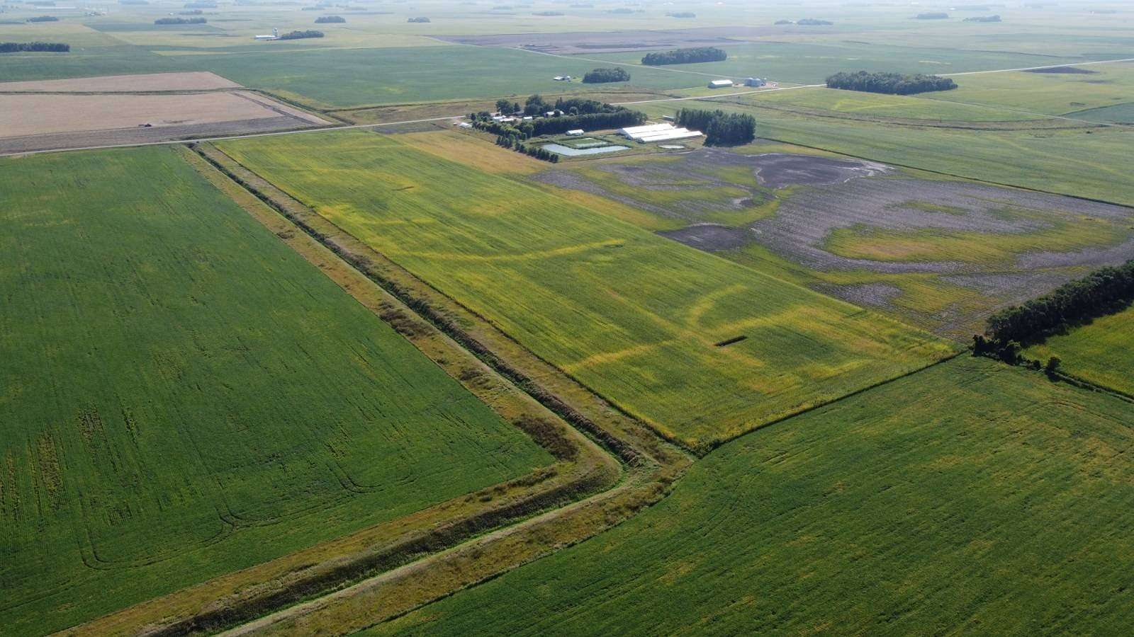 40 Acres of Recreational Land & Farm for Sale in Fairfax, Minnesota