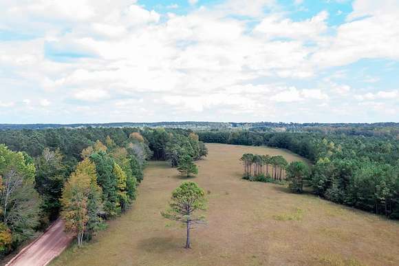 36.87 Acres of Recreational Land for Sale in Hogansville, Georgia