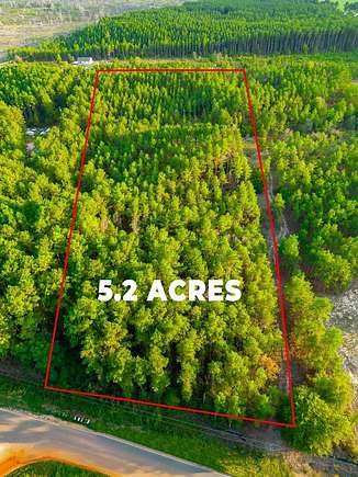 5 Acres of Residential Land for Sale in Mauk, Georgia