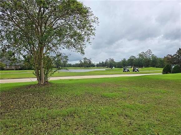 0.341 Acres of Residential Land for Sale in Springfield, Louisiana