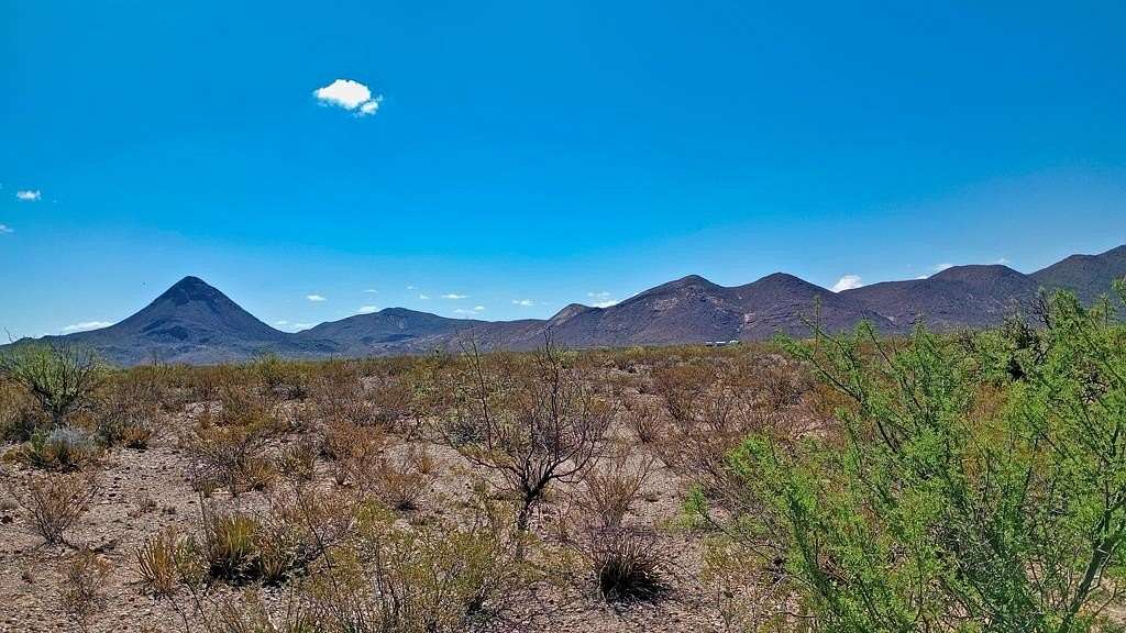 31.3 Acres of Land for Sale in Terlingua, Texas