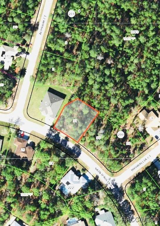 0.27 Acres of Residential Land for Sale in Homosassa, Florida