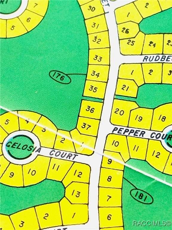 0.27 Acres of Residential Land for Sale in Homosassa, Florida