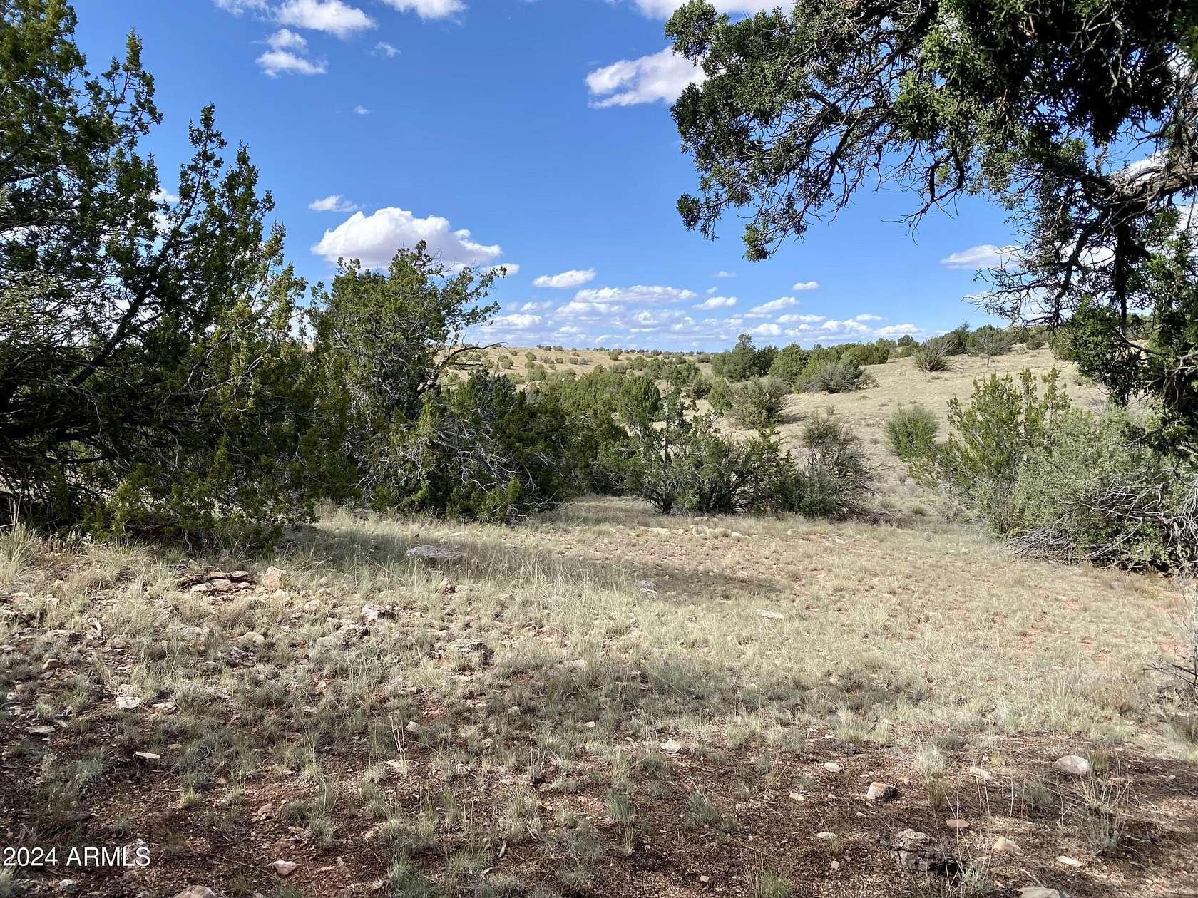 36.31 Acres of Land for Sale in Williams, Arizona