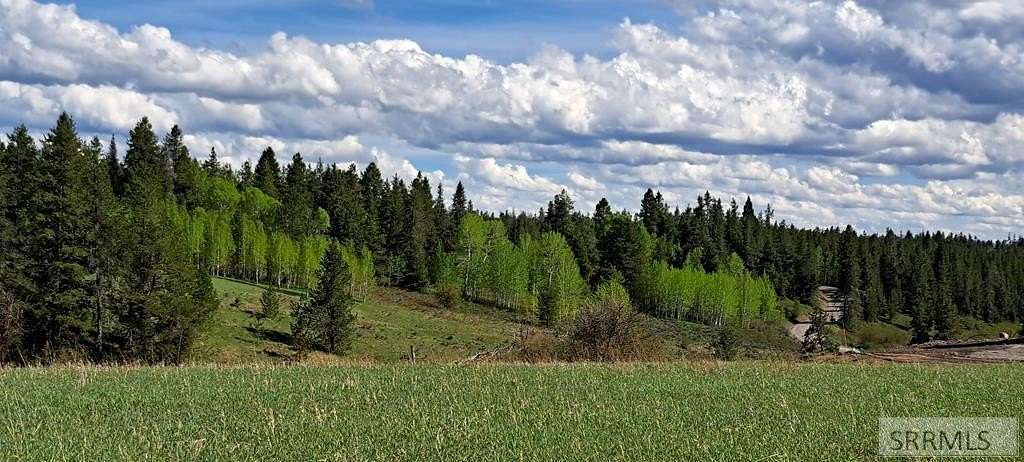 1.7 Acres of Residential Land for Sale in Ashton, Idaho