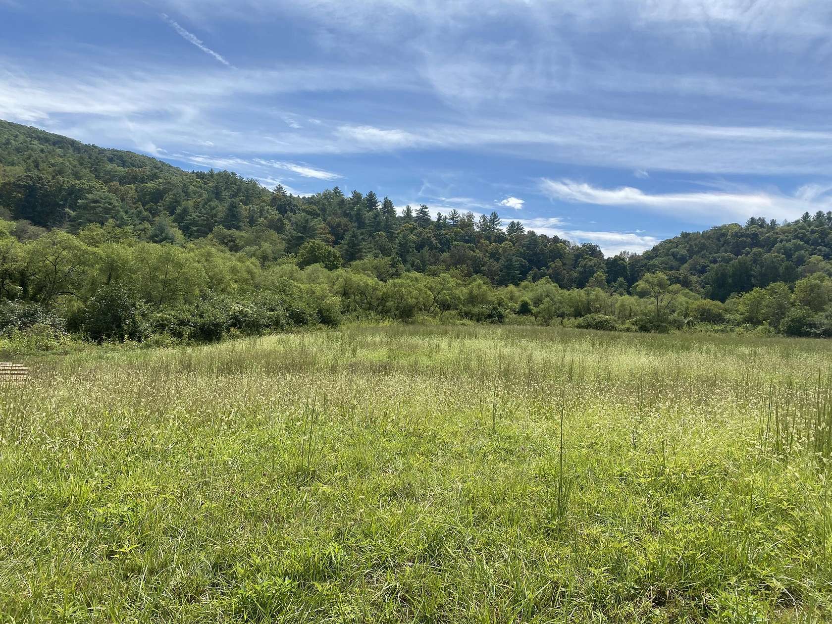 34.22 Acres of Land for Sale in Gap Mills, West Virginia