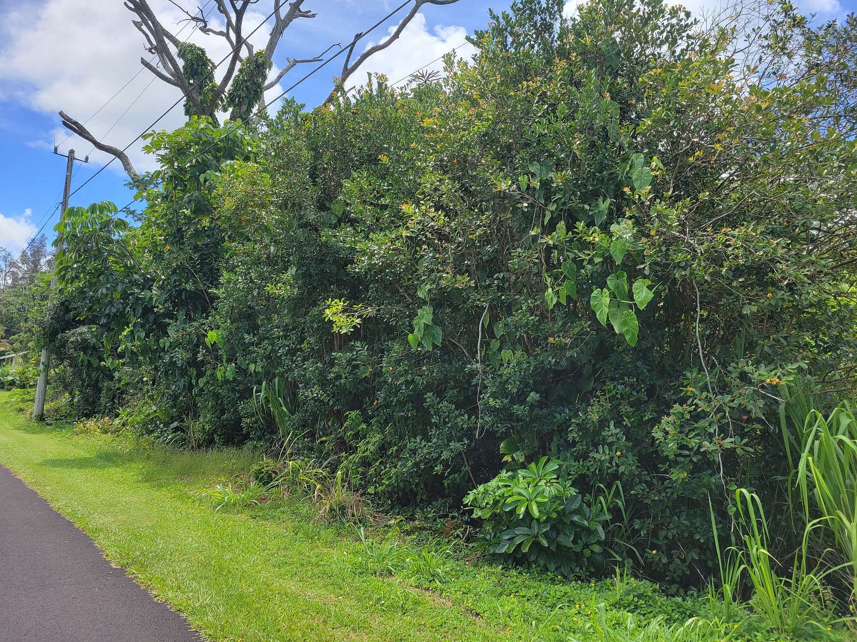 0.346 Acres of Residential Land for Sale in Pahoa, Hawaii