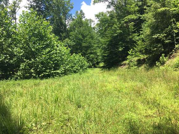 94.55 Acres of Recreational Land for Sale in Duck, West Virginia